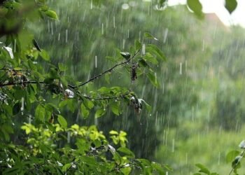 Ən çox yağıntı düşən bölgələrin adı açıqlandı