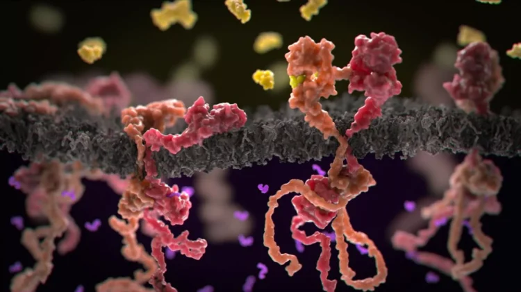 Sensasion elmi tapıntı: xərçəngin immun sistemi aldatma mexanizmi üzə çıxdı