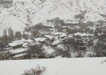 Şahbuz rayonuna 43 santimetr qar yağdı