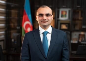 Nəsiminin icra başçısı buna görə işdən çıxarılıb – Prezident işarə etdi