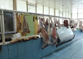 Bu bazarın fəaliyyəti dayandırıldı
