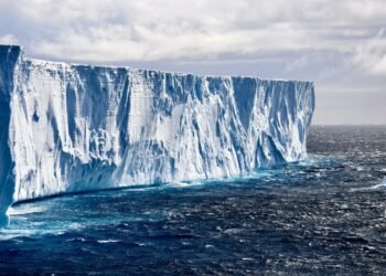 Antarktidada itdi, 9 ay sonra “qorxulu” məlumatlarla qayıtdı