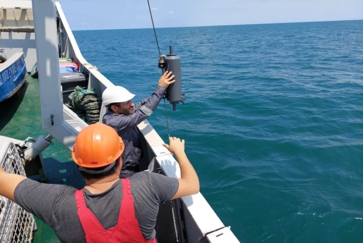 Hökumət Xəzərlə bağlı hərəkətə keçdi: dəniz nəzarət altına alınır