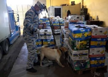 İranla sərhəddə “qarpız” əməliyyatı – VİDEO