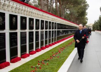 DTX-nin əməkdaşları Şəhidlər xiyabanını ziyarət etdilər – VİDEO