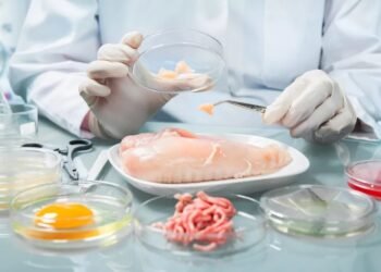 Qida məhsullarının istehsal və saxlanma zəncirində ən riskli mərhələlər hansılardır? – EKSPERT DANIŞDI