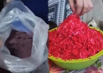 Qırmızı kələm turşuları süni rənglənir? – VİDEO