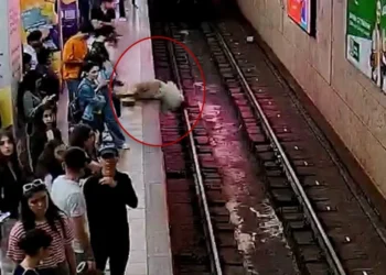 Bakı metrosunda faciə: sərnişin relsə düşərək öldü