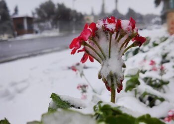 Qarlı hava nə vaxta qədər davam edəcək?