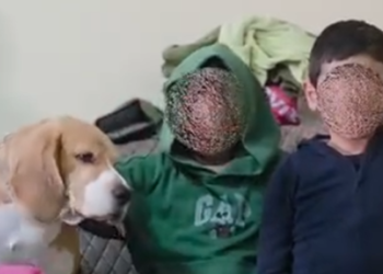 “Ögey nənə uşaqların quru çörək yemələrinə belə icazə verməyib”