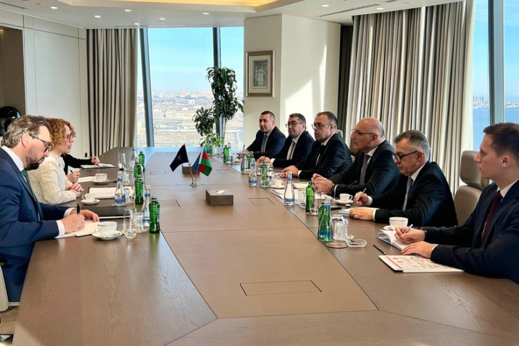 Əmirbəyov Şekerinska ilə Bakı-İrəvan sülhünü müzakirə etdi