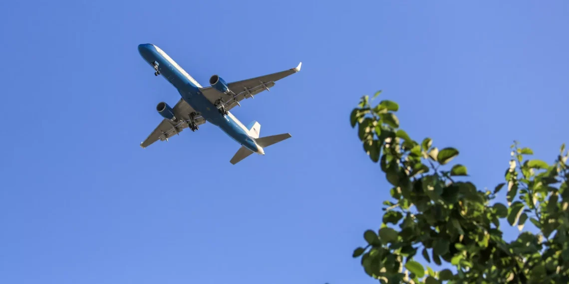 Uçuş zamanı yumruq davası – təyyarə məcburi endirildi