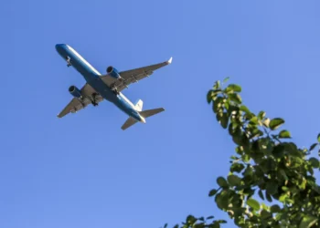 Uçuş zamanı yumruq davası – təyyarə məcburi endirildi