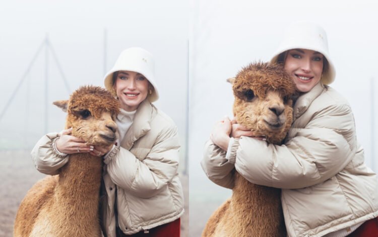 Prezidentin gəlininin alpaka fermasından maraqlı FOTOLARI