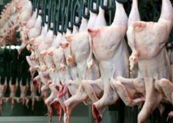 Sabahdan bu məhsulların ixracı dayandırılacaq