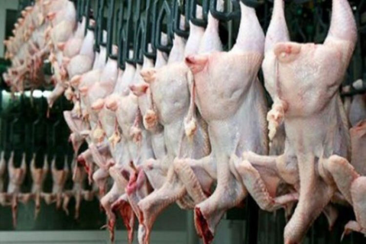 Sabahdan bu məhsulların ixracı dayandırılacaq