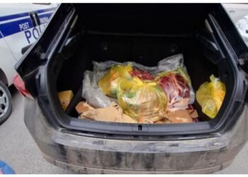 At ətini mal əti adı ilə satmağa hazırlaşan dəstə tutuldu