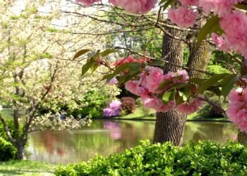 Yaz gəlir… – Dəqiq tarix