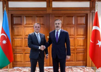 Ceyhun Bayramov Hakan Fidanla danışdı