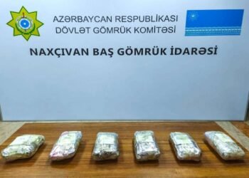 İrandan Türkiyəyə göndərilən narkotik Naxçıvanda aşkar edildi
