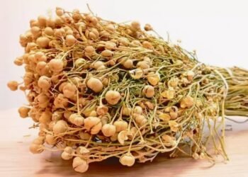 Nazirlik üzərliklə bağlı əhaliyə müraciət erdi