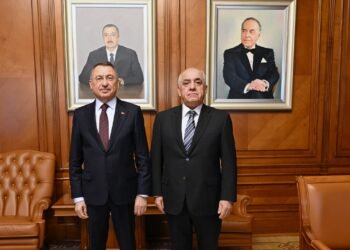 Əli Əsədov Fuat Oktayla görüşdü