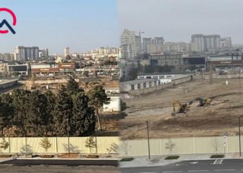 “Ağ Şəhər”də ağacları qıran 2 nəfər saxlanıldı – FOTOLAR