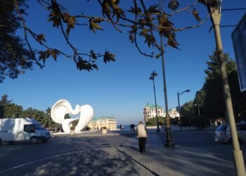 Sumqayıtda “Göyərçin”in ətrafındakı ağaclar niyə kəsilib? – Rəsmi