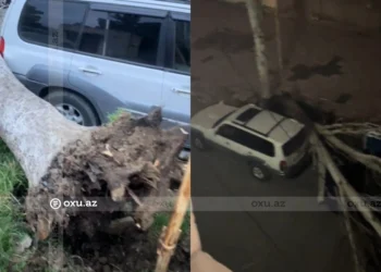 Güclü külək: ağac maşınların üzərinə aşdı – VİDEO