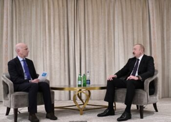 Bizə Fransa ilə heç bir problem lazım deyil – Prezident