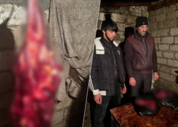 Bakıya at əti göndərmək istədilər – FOTOLAR