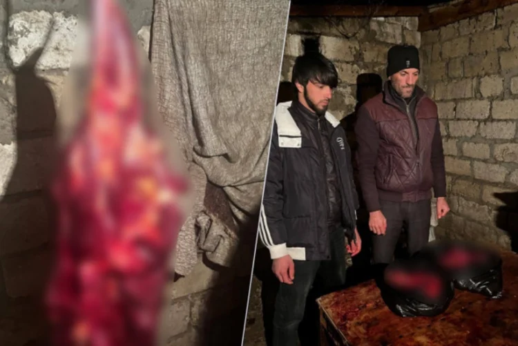 Bakıya at əti göndərmək istədilər – FOTOLAR