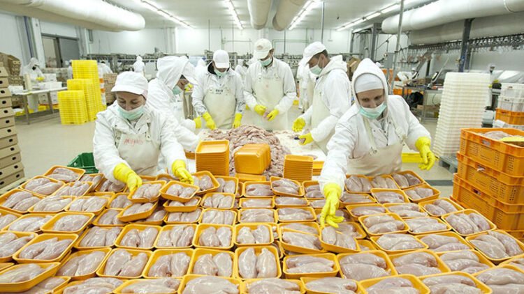 “HALAL” sertifikatı verilən müəssisələrin sayı açıqlandı