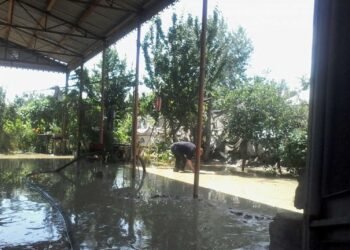 Ən çox zərər çəkən bu evlərdir – Rəsmi