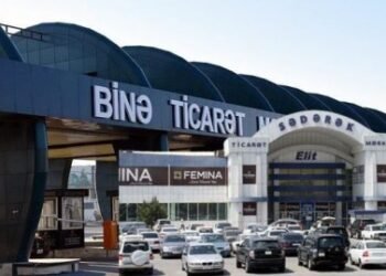 Bakıda göl daşdı, balıqlar ətrafa yayıldı