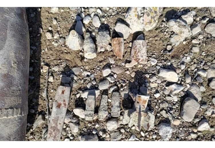 Naxçıvanda hərbi sursatlar aşkar edildi — VİDEO