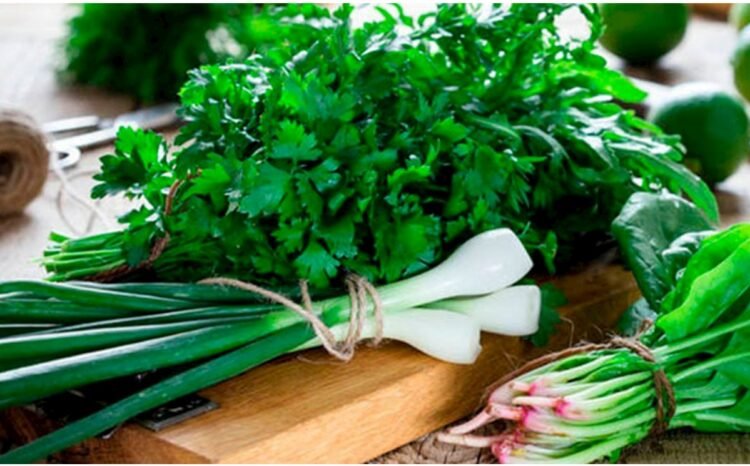 Göyərti bahalaşdı — FOTO