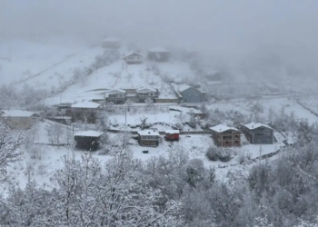 Bu kənddə hamının adı EYNİDİR: kişilərin də, qadınların da – VİDEO