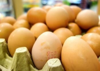 Toyuq yumurtasının gizli təhlükəsi