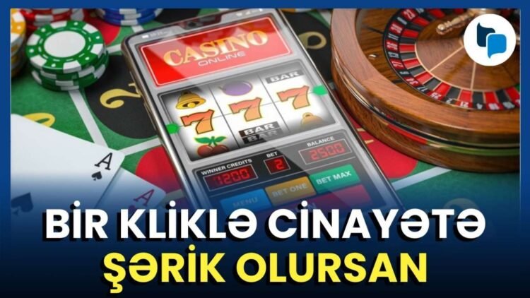 Hər ay milyonlarla manatımız hara gedir? – Tələdəki pendir effekti