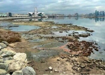 Xəzərdə suyun çəkilməsi balıqçılıq sektorunu çökdürür – VİDEO