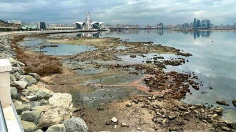 Xəzərdə suyun çəkilməsi balıqçılıq sektorunu çökdürür – VİDEO