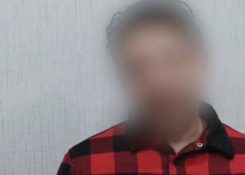 Alyona Əliyeva ilə bağlı sifarişi kimlər verib? – ŞOK DETALLAR