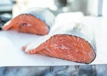 Balıq alarkən DİQQƏTLİ OLUN – VİDEO