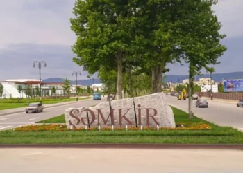 Şəmkirdə DAVA: Ana və oğul DÖYÜLDÜ