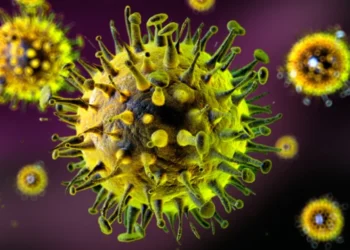 Təhlükəli virus gəlir – Koronavirusdan daha AĞİRDIR