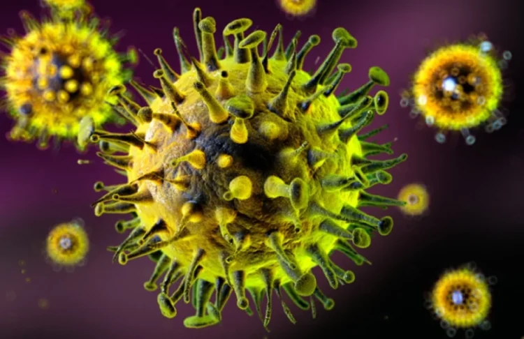 Təhlükəli virus gəlir – Koronavirusdan daha AĞİRDIR