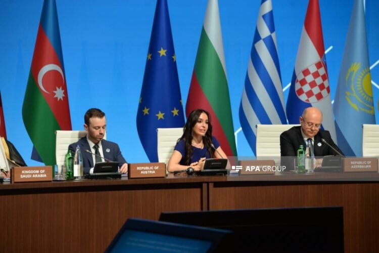 Xəzər dənizi qlobal ekosistemin güzgüsüdür – Leyla Əliyeva