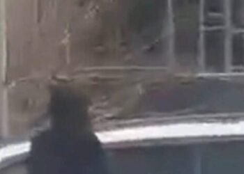 Bakıda çılpaq qadın küçədə gəzdi – FOTO