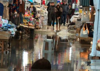 Suyun içində qalan “Sədərək”də sahibkarlara ziyan dəyib? – VİDEO